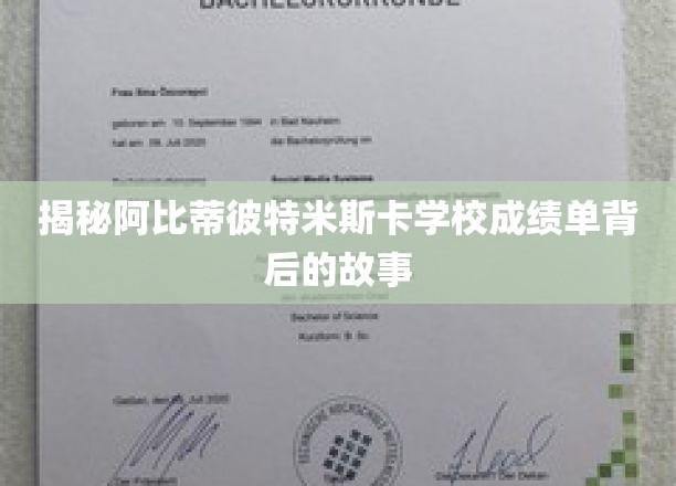 揭秘阿比蒂比-蒂米斯卡明学校成绩单背后的故事
