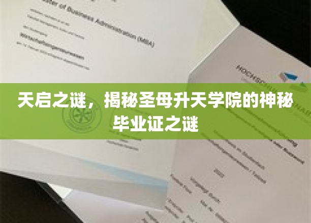 天启之谜，揭开圣母升天学院神秘毕业证的面纱