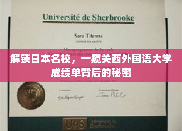 探索日本名校，一窥关西外国语大学成绩单背后的秘密