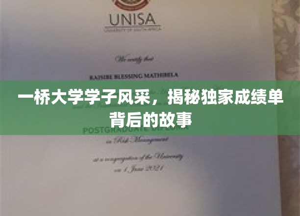 一桥大学学子风采，揭秘独家成绩单背后的故事