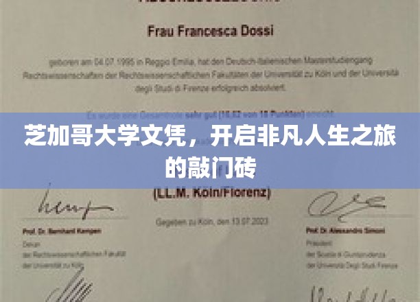 芝加哥大学文凭，开启非凡人生之旅的敲门砖