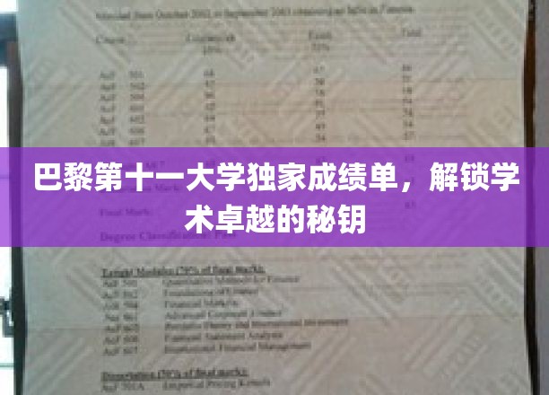巴黎第十一大学独家成绩单，开启学术卓越之旅