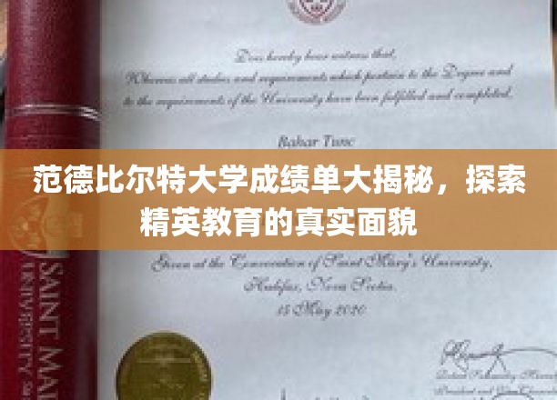 范德比尔特大学成绩单大揭秘，探寻精英教育的真实面貌