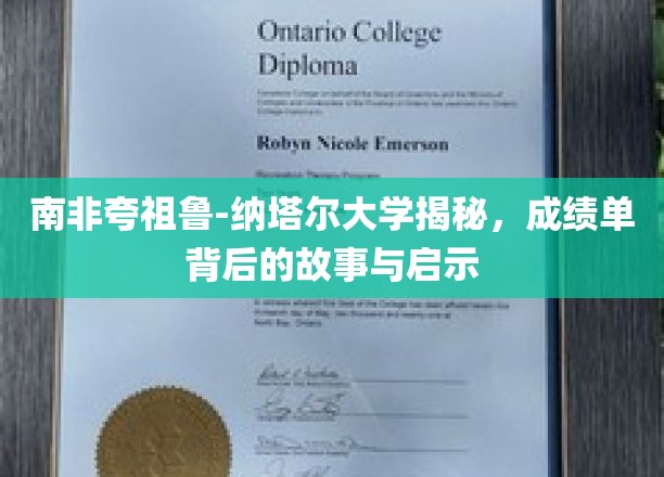 南非夸祖鲁-纳塔尔大学揭秘，成绩单背后的故事与启示