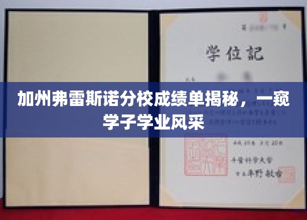 加州弗雷斯诺分校成绩单揭秘，一窥学子学业风采