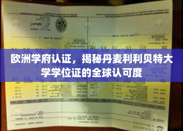 欧洲学府认证，揭秘丹麦利利贝特大学学位证的全球认可度