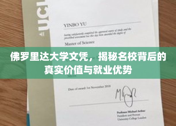 佛罗里达大学文凭，揭秘名校背后的真实价值与就业优势
