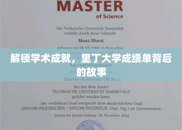揭秘里丁大学成绩单背后的学术成就