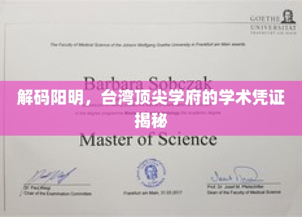 解码阳明，台湾顶尖学府的学术凭证揭秘