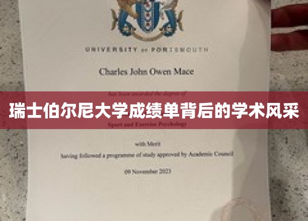 瑞士伯尔尼大学成绩单背后的学术风采