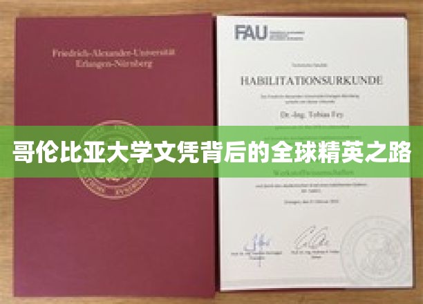 哥伦比亚大学文凭背后的全球精英之路