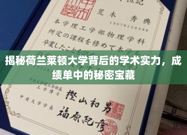 揭秘荷兰莱顿大学背后的学术实力，成绩单中的珍贵宝藏