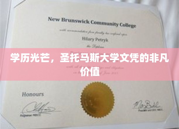 学历光芒，圣托马斯大学文凭的非凡价值