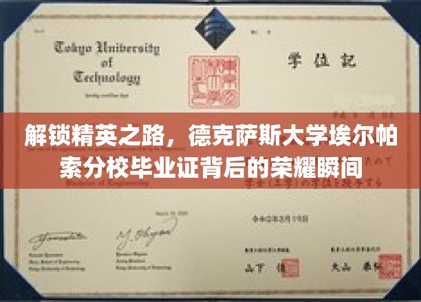 解锁精英之路，德克萨斯大学埃尔帕索分校毕业证背后的荣耀瞬间