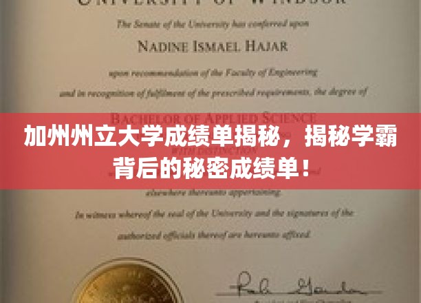 加州州立大学成绩单深度解析，揭秘学霸背后的优异成绩单！