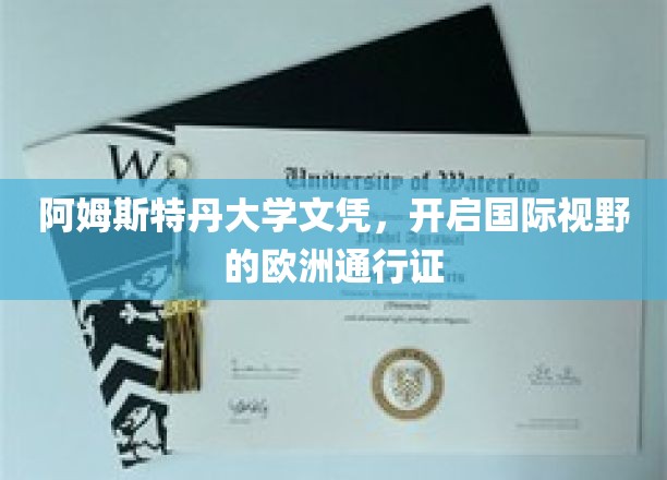 阿姆斯特丹大学文凭，开启国际视野的欧洲通行证