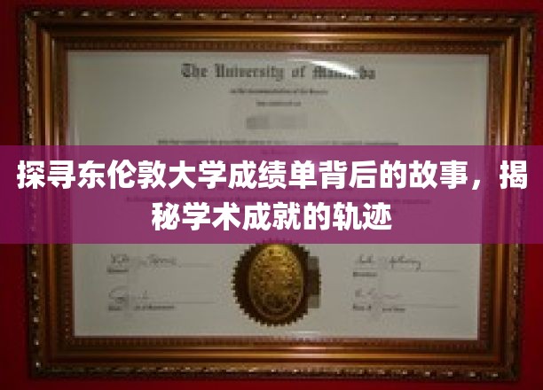 探寻东伦敦大学成绩单背后的故事，揭秘学术成就的轨迹