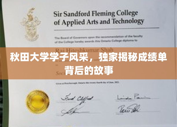 秋田大学学子风采，独家揭秘成绩单背后的故事