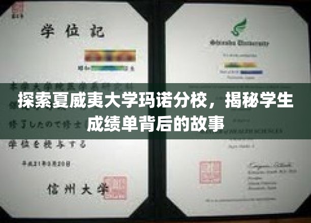 探索夏威夷大学玛诺分校，揭秘学生成绩单背后的故事