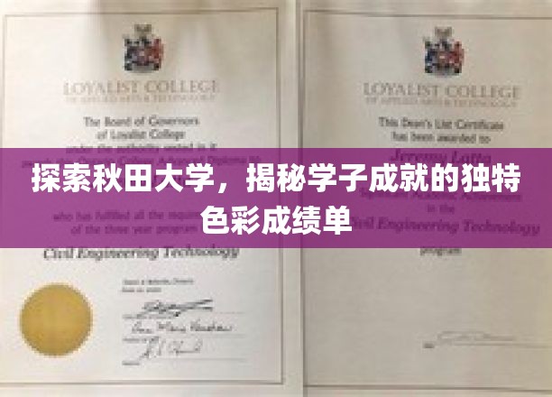探索秋田大学，揭秘学子成就的独特色彩成绩单