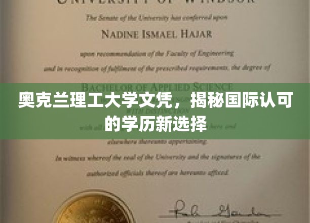 奥克兰理工大学文凭，揭秘国际认可的学历新选择