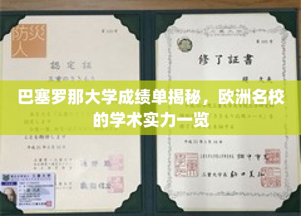 巴塞罗那大学成绩单揭秘，欧洲名校的学术实力一览