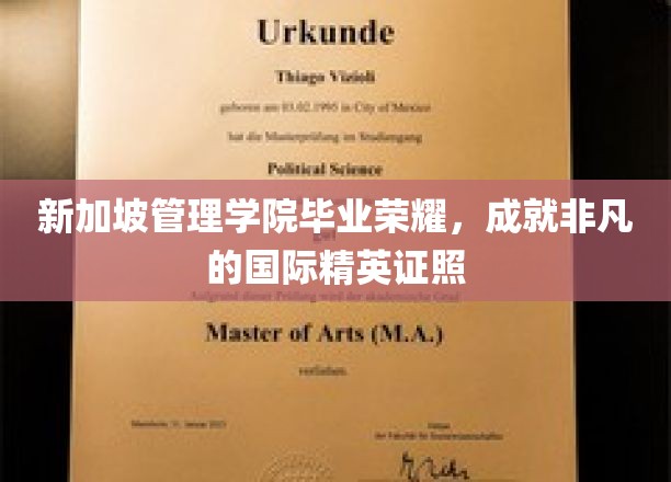 新加坡管理学院毕业荣耀，成就非凡的国际精英证照