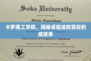 解码卡罗理工学院的辉煌成就，揭秘成绩单背后的秘密力量