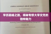学位巅峰探秘，专修大学文凭的非凡吸引力