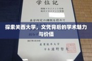 解锁关西大学，文凭背后的学术宝藏之旅