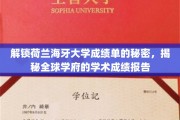 解锁荷兰海牙大学成绩单的秘密，揭秘全球学府的学术成绩报告