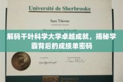 探索千叶科学大学学霸传奇，揭秘学术巅峰的秘密武器