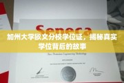 解码加州大学欧文分校，学位证背后的传奇之旅