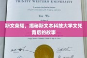 斯文本文凭之谜，一探究竟的荣耀背后