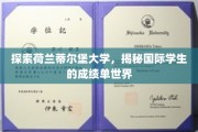 荷兰蒂尔堡大学揭秘，国际学生成绩单背后的全球视野