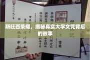 斯旺西大学荣耀揭秘，文凭背后的传奇与真相