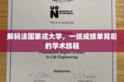 探寻法国第戎大学，成绩单背后的学术奥秘之旅
