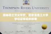 荷兰顶尖学府的秘密，一探因霍温理工大学学位证的传奇背后