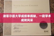 探索谢菲尔德大学成绩单背后的学术荣耀，揭秘学术精英的风采轨迹