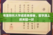 布里斯托大学成绩单揭秘，留学路上的关键一环