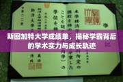 学霸养成记，斯图加特大学成绩单背后的学术奥秘与成长历程
