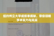 纽约州立大学成绩单背后，探索学术实力与学子风采的璀璨篇章
