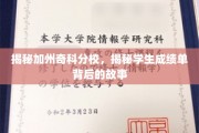 解码奇科分校学海秘境，揭秘成绩单背后的真实轨迹