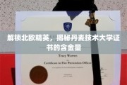 丹麦技术大学证书，北欧精英教育的黄金钥匙