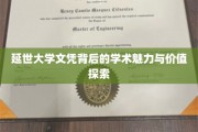 解码延世，文凭背后的学术奥秘与深远影响