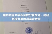 解码纽约州立大学布法罗分校，名校文凭的真正价值何在？