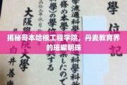 解锁丹麦教育瑰宝，哥本哈根工程学院的非凡魅力