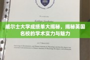 揭秘威尔士大学卓越学术风采，英国名校的魅力与实力一览