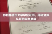 全球通行，都柏林城市大学学位证书背后的学术光环