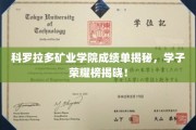 矿业精英展翅飞翔，科罗拉多学院学子荣耀榜大公开！